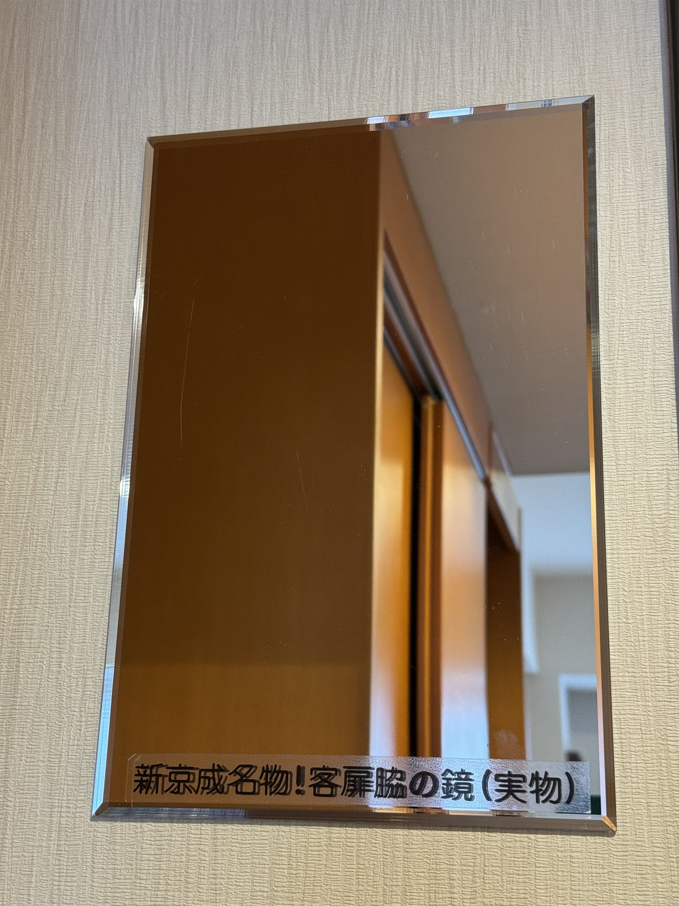 新京成電鉄で使われていた客扉脇の鏡