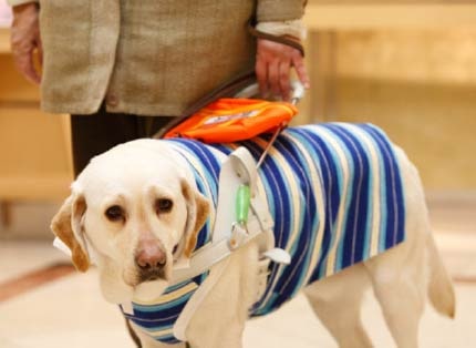 ミラマーレのバリアフリー